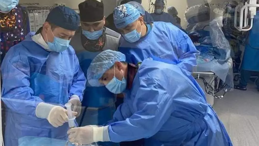 Казахстанские врачи впервые имплантировали эндоваскулярный митральный клапан