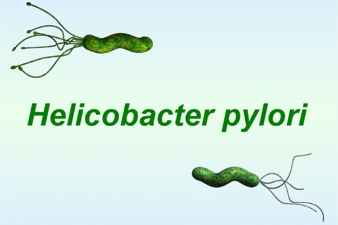 🌟 Сіз Helicobacter pylori туралы біліп, жапондық профессордың сараптамалық гастроскопиясынан өткіңіз келе ме? Онда бізге хабарласыңыз! 🌟