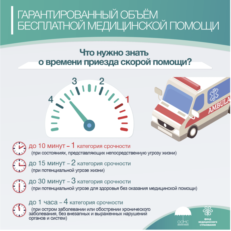 Инфографики ФМС
