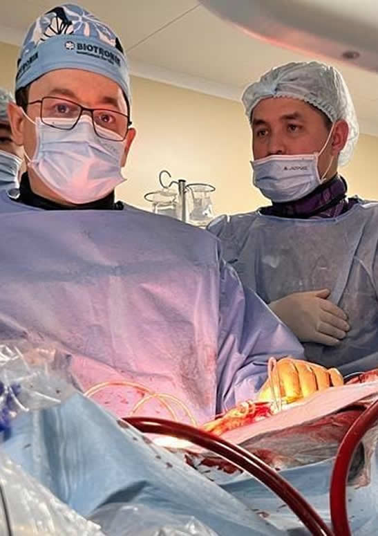 Рентгенэндоваскулярлық хирургия