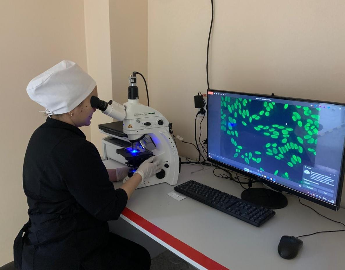 Аутоиммунды аурулардың зертханалық диагностикасы. НРИФ әдісі (жанама иммунофлуоресценция)